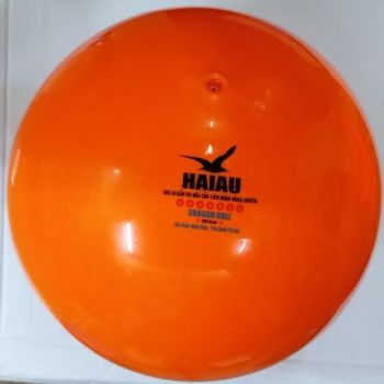 BÓNG CHUYỀN HƠI - HẢI ÂU - 250G